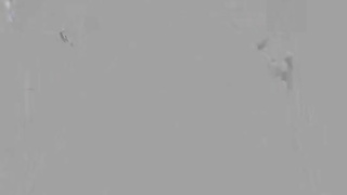 PureTaboo Penelope Woods