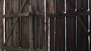 Agricultural Sex Work