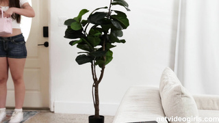 NetVideoGirls Lily NBQ