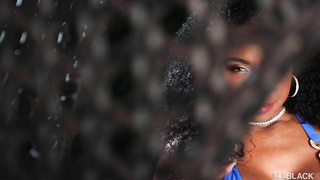 AllBlackX Amari Anne WRB