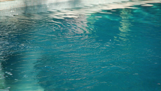 StrapLez Shania Vega And Casey Nohrman Exotica WRB