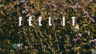 SexArt Fibi Euro Feel It WRB