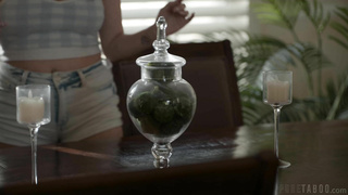 PureTaboo Rebel Lynn To The Letter VSEX