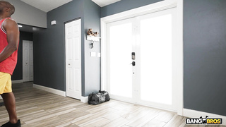 MonstersOfCock Daisy Fox WRB