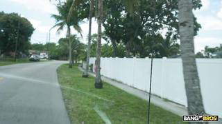 BangBus Hope Fontaine WRB