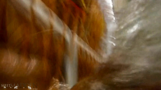 MeetMadden Water Park LEWD