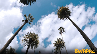 DaughterSwap Emma Rosie And Krystal Palmer WRB