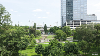 XES Julia North BTS POLISH WRB