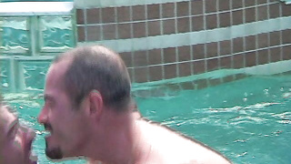 Bears in paradise dvd ripped raw Pantheon.mkv