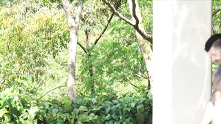 Auditions 49 Concrete Jungle DVD