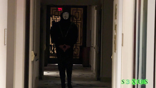 SXUS Lily Starfire WuWei WRB