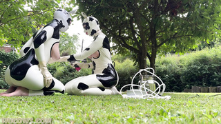 HuCows Anclla And Miss Fetilicious Latex Hucows Outdoors FETiSH