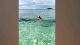 NickMarxx E Elana Bunnz NBQ