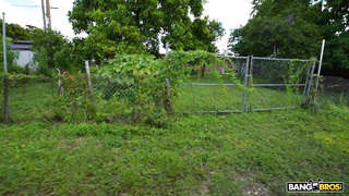 BangBus Vanna Rose WRB