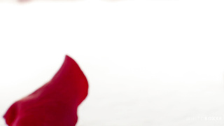 TheWhiteBo Freya Mayer WRB