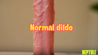 ReptyleLabs Julia James WRB