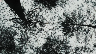 MixedX Amirah Adara Zazie Skymm When The Past Came Home VSEX