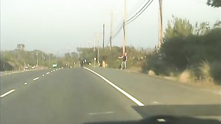 [Studio 2000] Cruising It (2003)