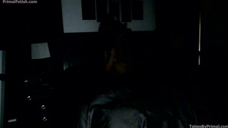 PrimalFetish Aidra Fox And Michael Masters MaMi