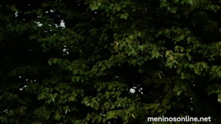 Otavio Andreassa, Pedro Fontes & Harri