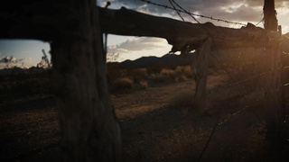 Paddy O'Brian & John Brachalli