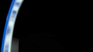 NerdPervert E Darlo Muscle Gal LEWD