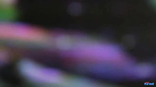 NerdPervert E Echo Evangelista Drop In Nosh LEWD