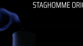 Milo Miles & Nico Zetta