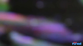 NerdPervert E Abbie Price The Reluctant Blowjob LEWD