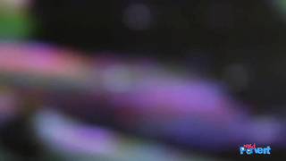 NerdPervert E Nurse Tilly The Ass Eater LEWD