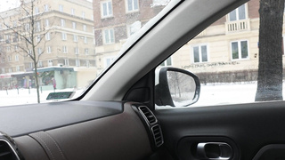 XES Rose BTS POLISH WRB