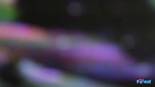 NerdPervert E Devon Breeze Two Nerds A Slut And A Sex Shop LEWD