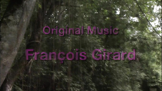 The Caracas Adventure