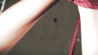 Caribbeancom Aika Hoshino Dynamite PP