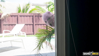 AssParade Sinatra Monroe WRB