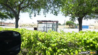 BangBus Lalie Fox WRB