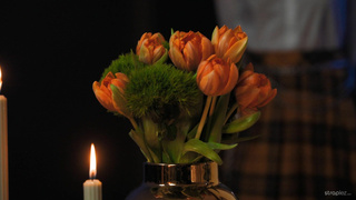 StrapLez Shania Vega And Britney Dutch Terms Of Submission WRB