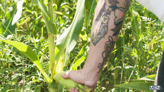 Corn On The Slob