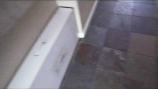 ManyVids WCA Productions Coco Vandi Helping my stepmom get pregnant Complete series