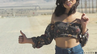 Transsexual Hitchhikers (02.10.2020) rq