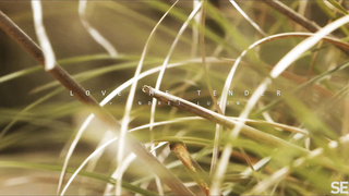 SexArt Jayla De Angelis Love Me Tender