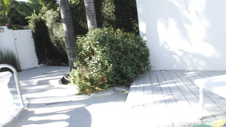 EvilAngel Jessica Fox & Emma Rose / TS-On-TS: Jessica Fox Fucks Emma Rose!