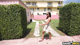 BangBus Armani Black