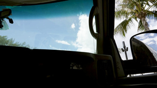 BangBus Lily Starfire