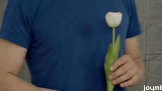 Joymii Lola Taylor Morning