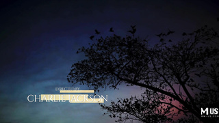 Jerkaoke Spencer Bradley