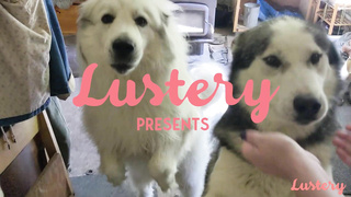 Lustery E Daisy And Peach Moving To The Country