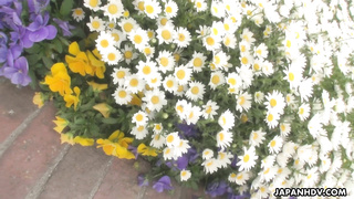 JapanHDV.23.06.10.Kyoka.Makimura.XXX.1080p.HEVC.x265.PRT