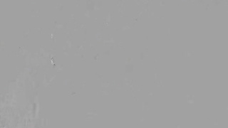 Cherry Kiss Pleasure Without Obligations