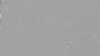 GotFilled Blake Blossom